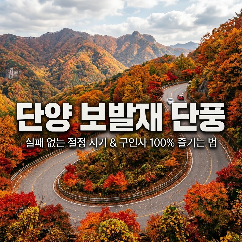 보발재단풍.jpeg
